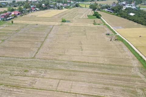 Terreno en Chiang Mai, Tailandia № 162785 - foto 4