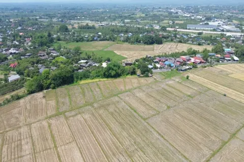 Terrain à Chiang Mai, Thaïlande № 162785