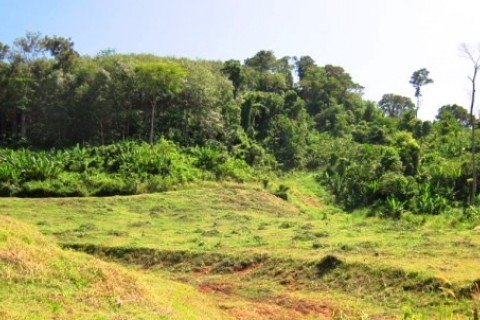 Terreno 9988 m2 en Mai Khao, Tailandia № 191254 - foto 3