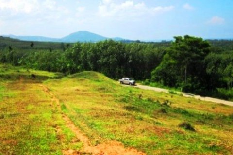 Terreno 9988 m2 en Mai Khao, Tailandia № 191254 - foto 4