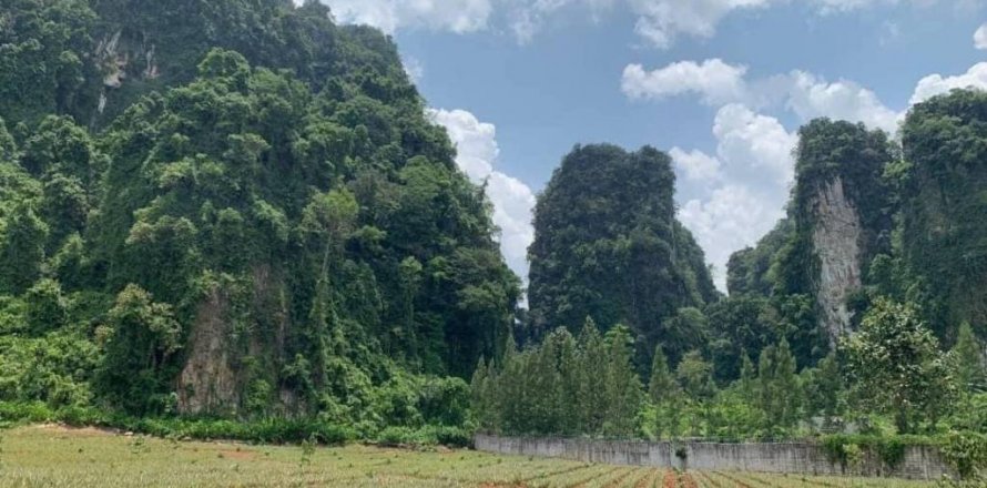 Terreno en Krabi, Tailandia № 134633
