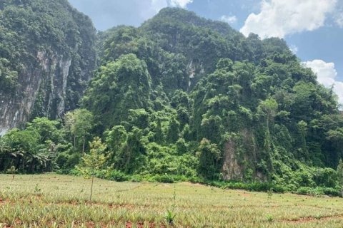 Terreno en Krabi, Tailandia № 134633 - foto 3