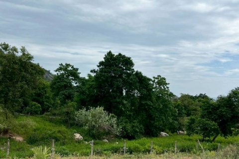 Terreno en Hua Hin, Tailandia № 134628 - foto 9
