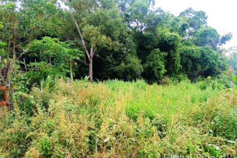 Terreno en Pattaya, Tailandia № 205464 - foto 3