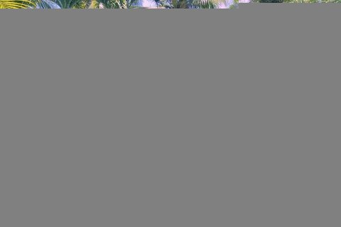 Casa de 3 dormitorios en Surin, Tailandia № 3845 - foto 4