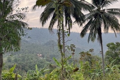 Grundstück in Ko Samui, Thailand 15200 m2 № 180177