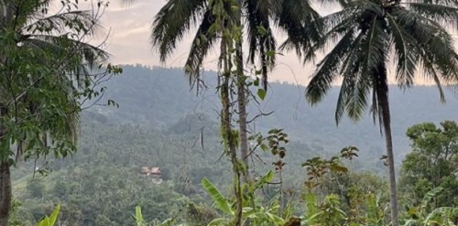 Grundstück in Ko Samui, Thailand 15200 m2 № 180177
