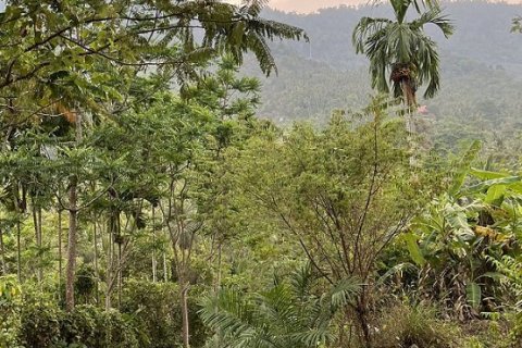 Grundstück in Ko Samui, Thailand 15200 m2 № 180177 - Foto 2