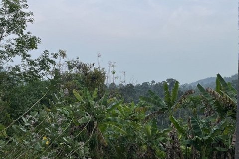 Grundstück in Ko Samui, Thailand 15200 m2 № 180177 - Foto 3