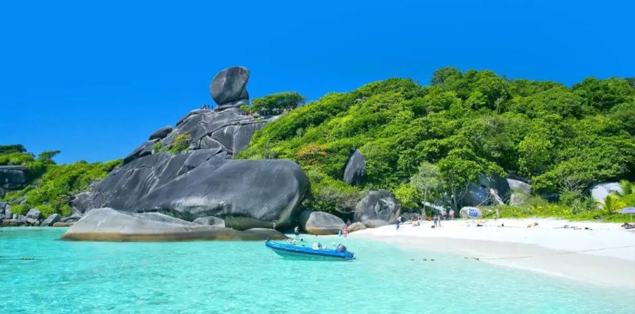 Local comercial en Phuket, Tailandia № 181043