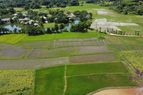 Terreno en Chiang Mai, Tailandia № 162531 - foto 2