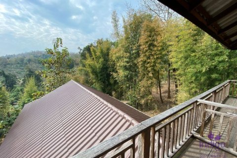 Land in Chiang Mai, Thailand № 162536 - photo 12