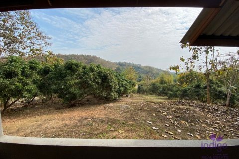 Land in Chiang Mai, Thailand № 162536 - photo 20
