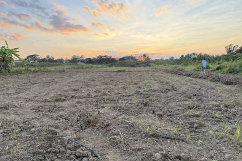 Terreno en Chiang Mai, Tailandia № 156325 - foto 3