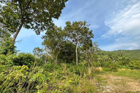 Land in Ko Samui, Thailand № 119139 - photo 4