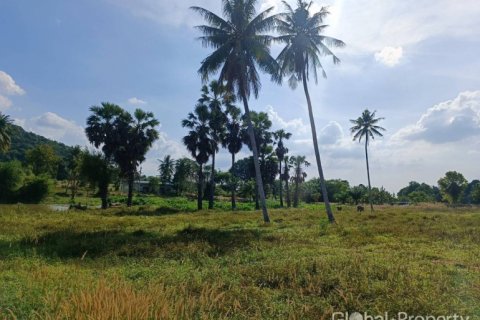 Terreno en Pattaya, Tailandia № 42240 - foto 5