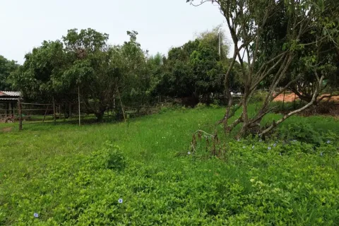 Terreno en Chiang Mai, Tailandia № 162780 - foto 9
