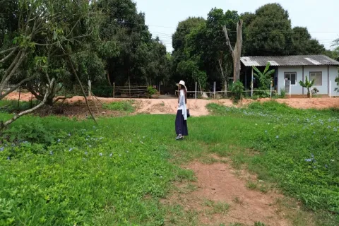 Terreno en Chiang Mai, Tailandia № 162780 - foto 12