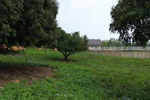 Terreno en Chiang Mai, Tailandia № 162780 - foto 8
