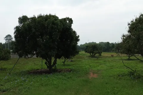Terreno en Chiang Mai, Tailandia № 162780 - foto 5