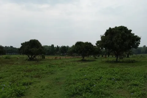 Terreno en Chiang Mai, Tailandia № 162780 - foto 11