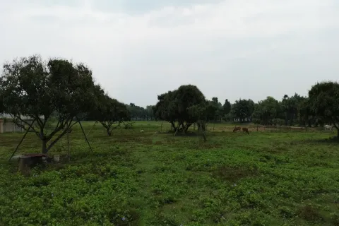 Terreno en Chiang Mai, Tailandia № 162780 - foto 6