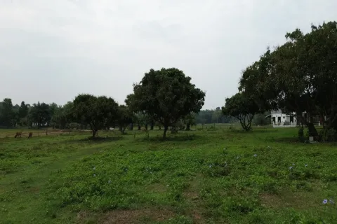Terreno en Chiang Mai, Tailandia № 162780 - foto 10