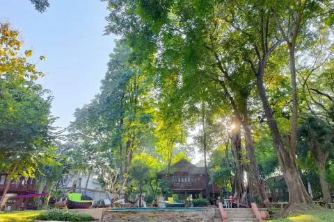 Local comercial 600 m2 en Chiang Mai, Tailandia № 162781 - foto 6