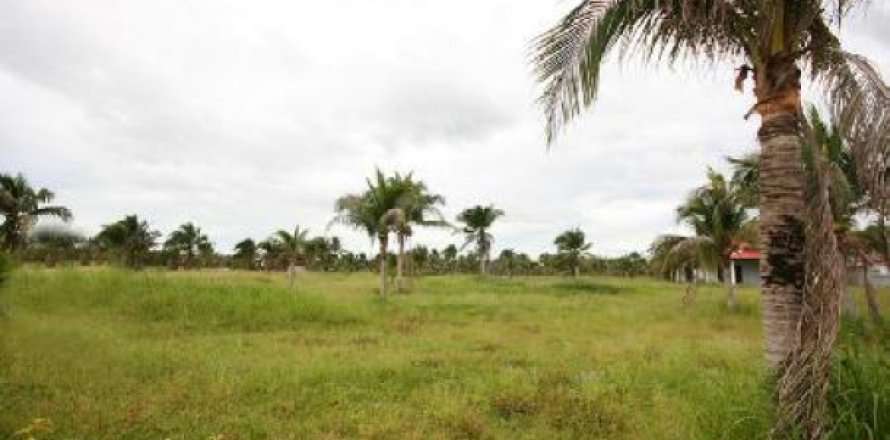 Terreno 9840 m2 en Hua Hin, Tailandia № 202497