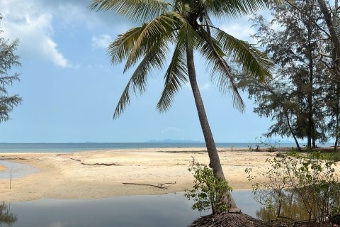 Grundstück in Ko Samui, Thailand 416 m2 № 175557