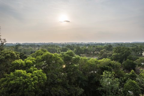 Земельный участок в Пхангнге, Таиланд 1952м2 № 169474 - фото 6
