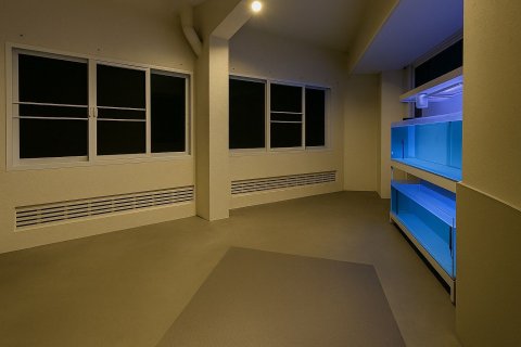 Ático de 3 dormitorios en Watthana, Bangkok, Tailandia № 161125 - foto 5