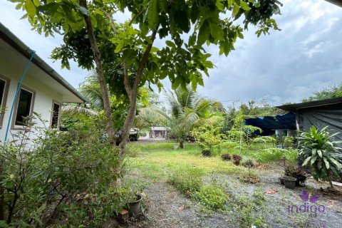 บ้านในสันกำแพง, ประเทศไทย 2 ห้องนอน № 113982 - รูปถ่าย 3