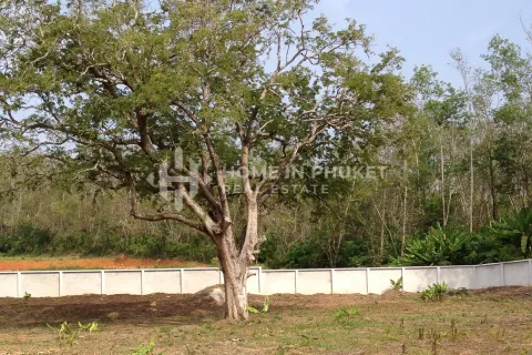 Terreno en Rawai, Tailandia № 146642
