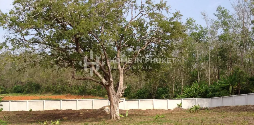 Terreno en Rawai, Tailandia № 146642