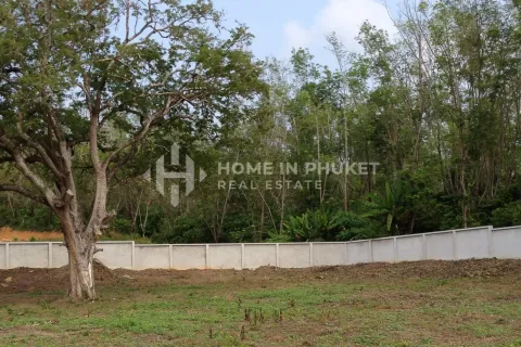 Terreno en Rawai, Tailandia № 146642 - foto 4