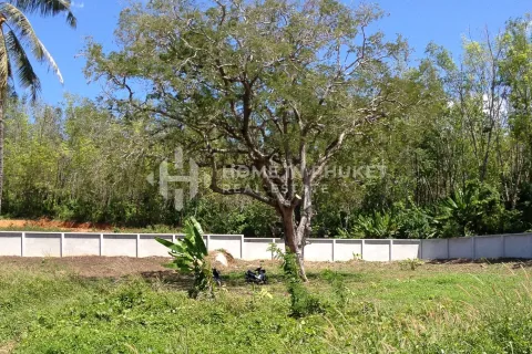 Terreno en Rawai, Tailandia № 146642 - foto 5
