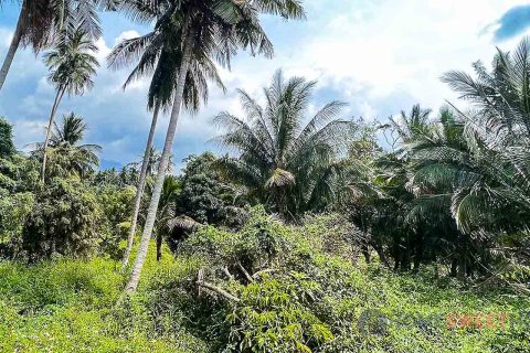 Terreno 36800 m2 en Narathiwat, Tailandia № 180204