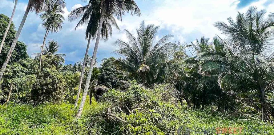 Terreno 36800 m2 en Narathiwat, Tailandia № 180204