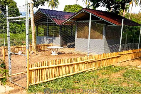 Grundstück in Ko Samui, Thailand 7360 m2 № 180203 - Foto 2