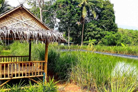 Grundstück in Ko Samui, Thailand 7360 m2 № 180203 - Foto 6