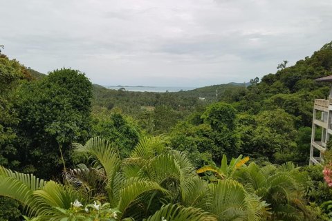 Terrain à Ko Samui, Thaïlande 4000 m2 № 180202