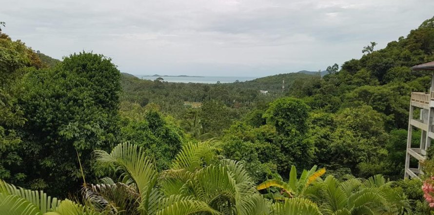 Terreno 4000 m2 en Ko Samui, Tailandia № 180202