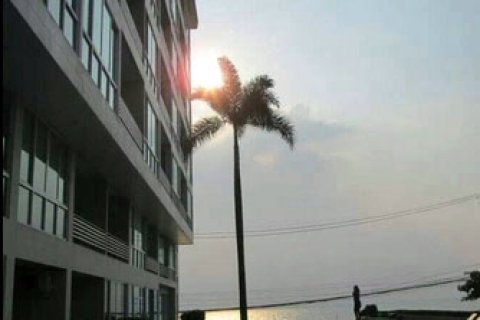 Condo sur Jomtien Beach, Pattaya, Thaïlande, 1 chambre  № 204090