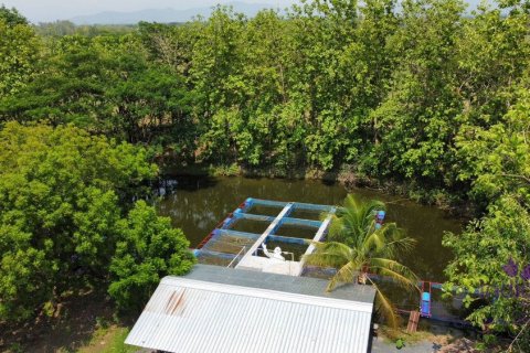 Commercial property in Chiang Mai, Thailand № 162589 - photo 10