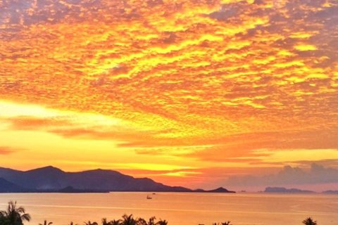 Terreno en Ko Samui, Tailandia № 180983 - foto 7