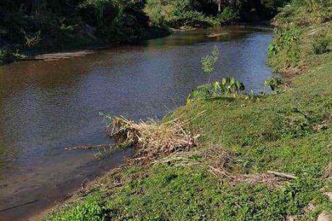 Terreno en Chiang Mai, Tailandia № 162825 - foto 6