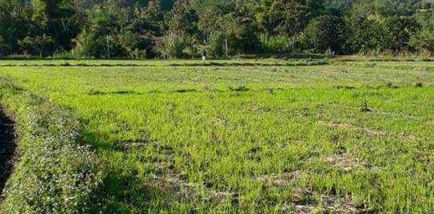 Terreno en Chiang Mai, Tailandia № 162825