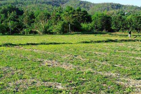 Terreno en Chiang Mai, Tailandia № 162825 - foto 2