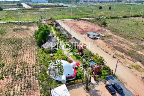 Commercial property in Pattaya, Thailand 509 sq.m. № 198198 - photo 16